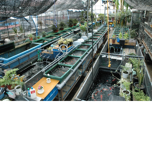 小さな画像をクリックして下さい